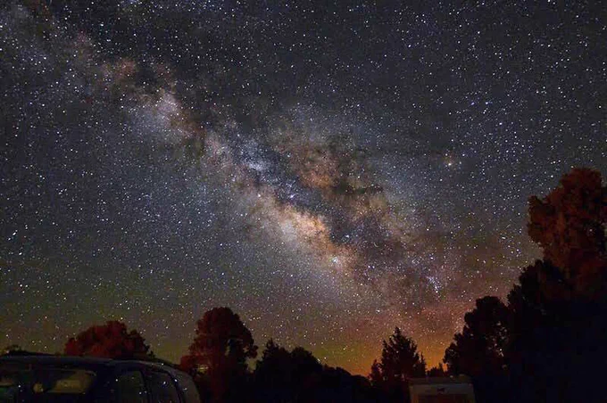 Silhouettes of trees in foreground with the Milky Way filling the night sky up above. 
