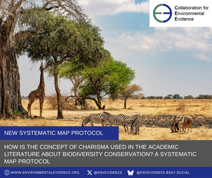 A savanna scene with golden grass to the right, and a canopy of green trees to the right. There are two wildebeest and three zebra grazing in the grass, and under the trees there is one giraffe reaching for leaves. In the upper right there is the Collaboration for Environmental Evidence logo, and in the foreground there are the words "New systematic map protocol" and the article title "How is the concept of charisma used in the academic literature about biodiversity conservation? A Systematic Map Protocol" Photo by Jack Bulmer on Unsplash
