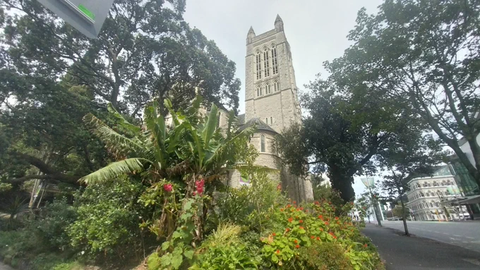 St Matthew in the City taken from the street looking up through the tropical garden. There are flowers in bloom, with the white Ōamaru stone church tower punching through the canopy into the blue grey morning sky.
