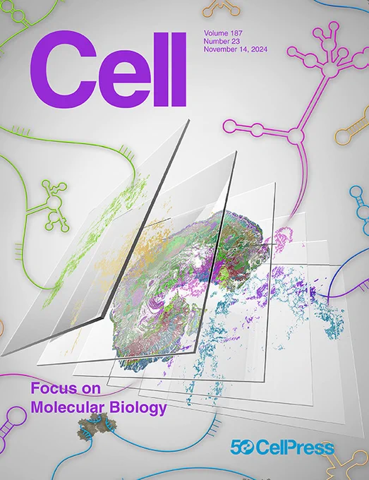 Cover of the Cell focus issue on molecular biology image featuring an illustration of the super-resolved tissue architecture of a human lymphoma FFPE section, along with multiple layers of spatial RNA maps revealed by Patho-DBiT. Image credit: Hannah Wang and Zhiliang Bai.