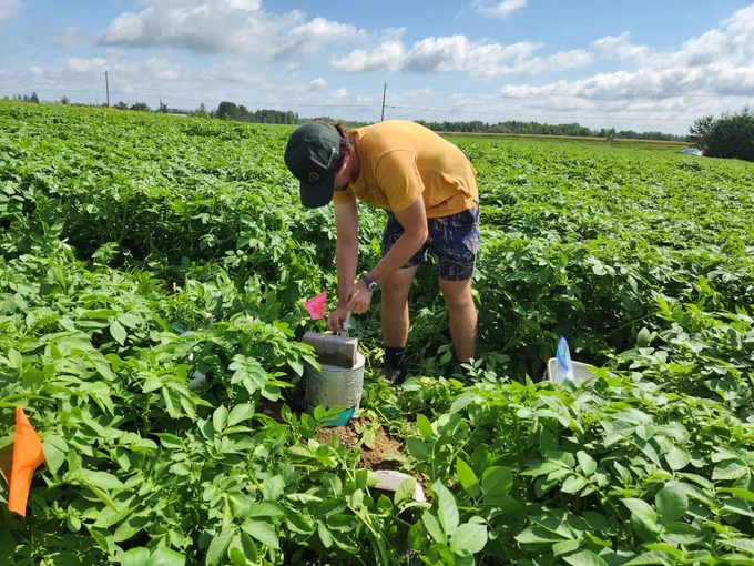 Person standing in a field and taking greenhouse gas samples. 