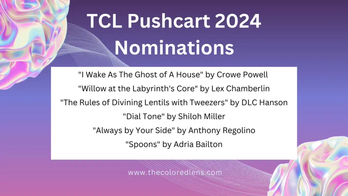 Pushcart Prize Nomination 2024