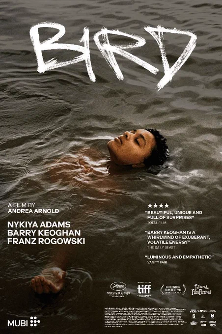 Bird film poster