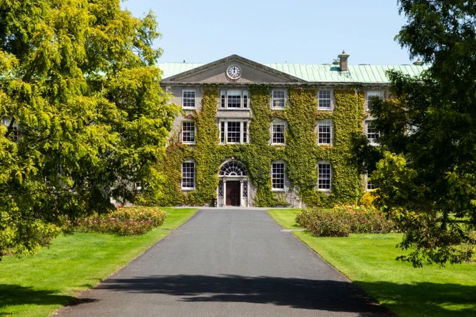 university building covered in ivy