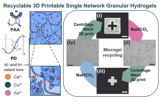Go check out our latest research on recyclable 3D printable hydrogels!! ♻️ Microgels are electrostatically crosslinked with a polyelectrolyte and can be reinforced with ions to form durable, self-healing underwater structures, ideal as damper or actuator!🌊