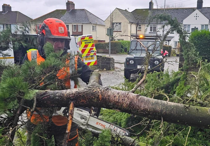 #StormDarragh fallen trees. Team at work. 
Coed wedi cwympo. Tîm yn gweithio.