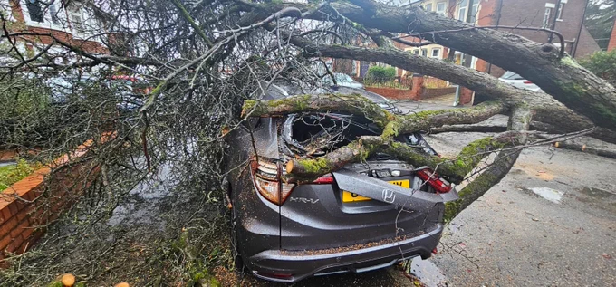 #StormDarragh tree fallen on a car / coed wedi cwympo ar car