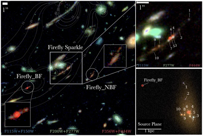 The Firefly Sparkle is a redshift zs⁢p⁢e⁢c = 8.304 ± 0.001 gravitationally magnified arc lensed by the MACS J1423.8 2404 cluster. Left: Full field with the three objects of interest - Firefly Sparkle (center), Firefly-Best Friend (FF-BF; bottom left), and Firefly-New Best Friend (FF-NBF; bottom right) - shown in boxes and circles. The contours show the lines of lensing magnifications (μ= 15, 20, 30, and 40). Top right: zoom in on the Firefly Sparkle with the clusters labelled. Bottom right: source plane reconstruction of the Firefly Sparkle with the position of neighbor FF-BF shown in red circle.