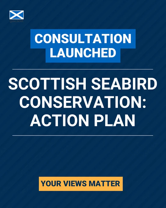 Consultation launched. Scottish Seabird Conservation: action plan. Your views matter.