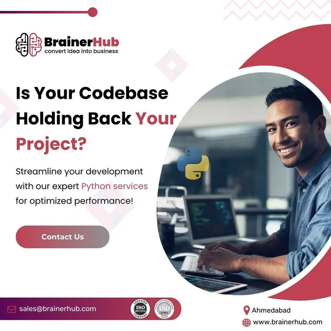 Python Development Services - BrainerHub Solutions