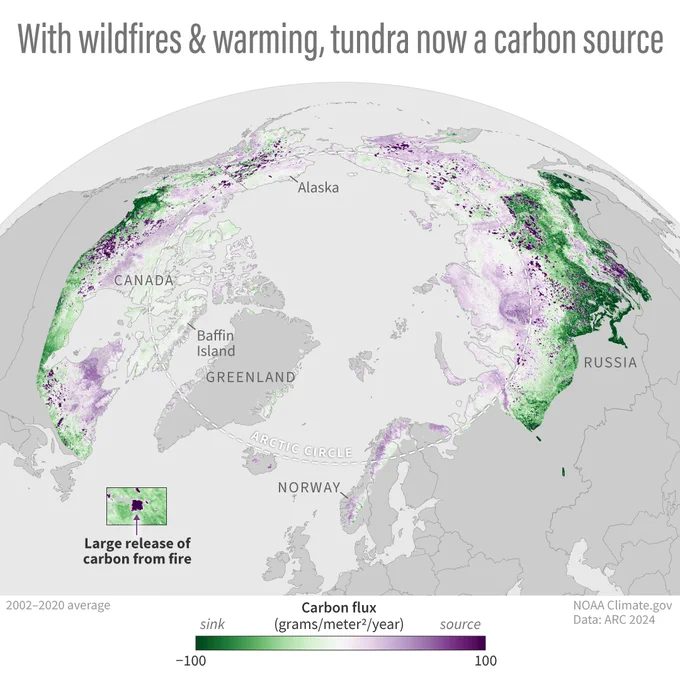 Globe-style map of the Arctic region showing places that were a net source of carbon dioxide to the atmosphere and places that were a net sink. Isolated spots of very large emissions indicate fire activity.
