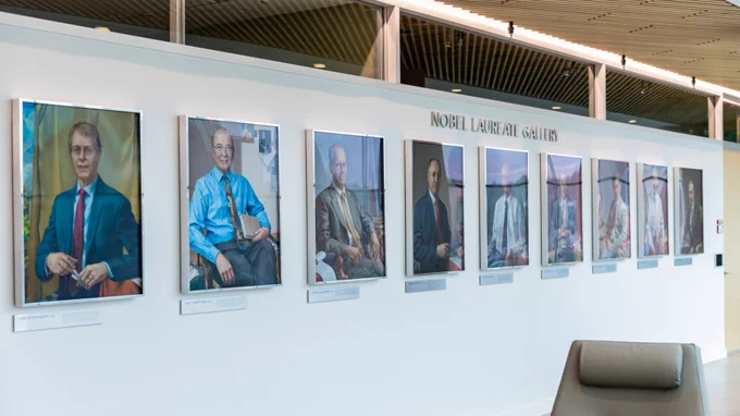 A line of framed portraits hanging on a wall, depicting various Nobel laureates.