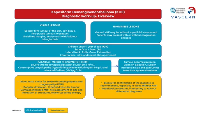An infographic detailing the diagnostic work-up overview for Kaposiform Hemangioendothelioma (KHE). It outlines visible and nonvisible lesions, characteristics like Kasabach Merritt Phenomenon (KMP), and key diagnostic steps including blood tests, imaging (doppler ultrasound and contrast-enhanced MRI), and biopsy recommendations. The image is color-coded with sections for clinical evaluation in blue and investigations in yellow. Includes VASCERN and European Reference Network logos.