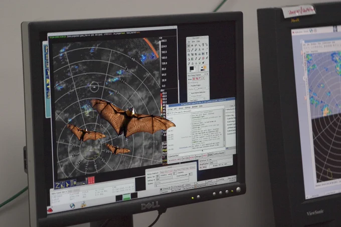 A close up screen showing a weather forecast and other pop ups. There are clearly a group of bats that have been added on top of the radar as a joke.