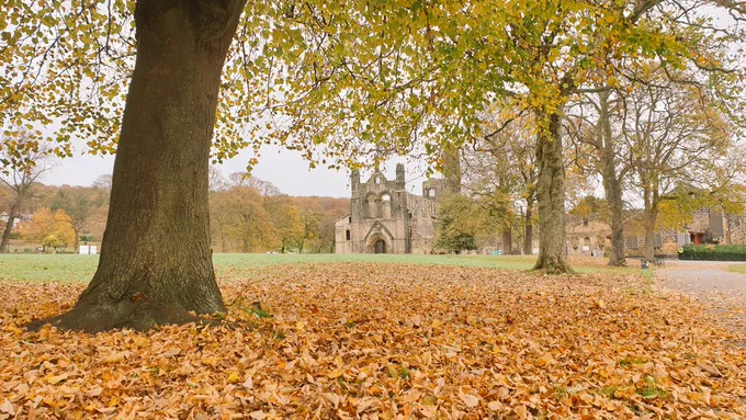 Autumn fallen leaves, Kirkstall Abbey, Leeds, UK