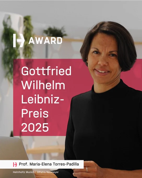 Prof. Maria-Elena Torres-Padilla Awarded Gottfried-Wilhelm Leibniz-Preis 2025