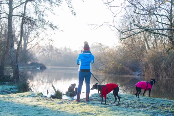 A winter scene by a river with frosty grass, bare winter trees, and a soft mist. A person dressed in winter attire, including a blue jacket, jeans, red wellington boots, and a red hat stands facing the water. They are with two dogs.  