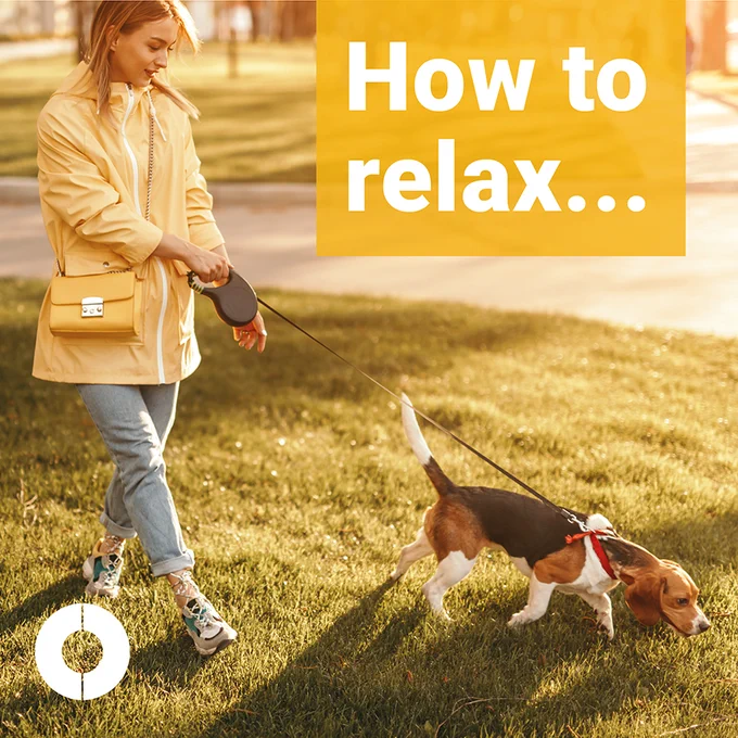 Image shows a woman with blonde hair, wearing jeans and a yellow coat and bag, walking her dog on a lead. They are on grass, with pathways and grass areas like a park in the background. The words, 'How to relax' appear in a dark yellow box at the top of the image and there is a white 'O' emblem from the OnePlusOne logo in the bottom left-hand corner.