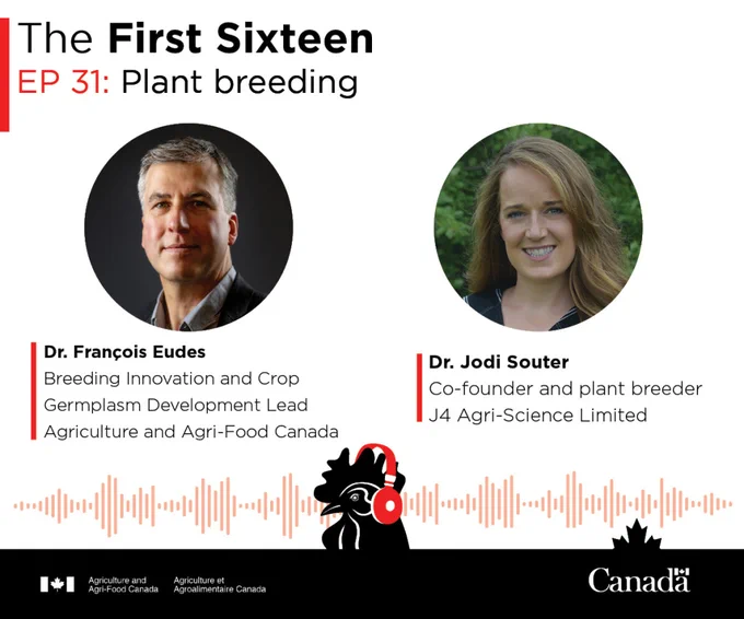 The First Sixteen. EP 31: Plant breeding. Dr. François Eudes. Breeding Innovation and Crop Germplasm Development Lead, Agriculture and Agri-Food Canada. Dr. Jodi Souter Co-founder and plant breeder, J4 Agri-Science Limited.