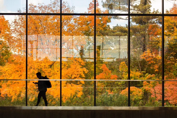  A student walks by a wall of glass windows on UTM campus while checking a smartphone. Bright fall colours can be seen outside.