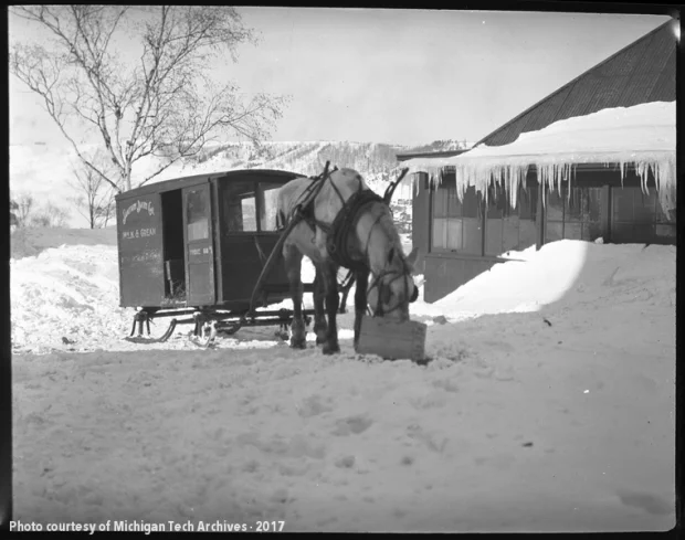 Horse eating from a feedbox while hitched to a delivery wagon