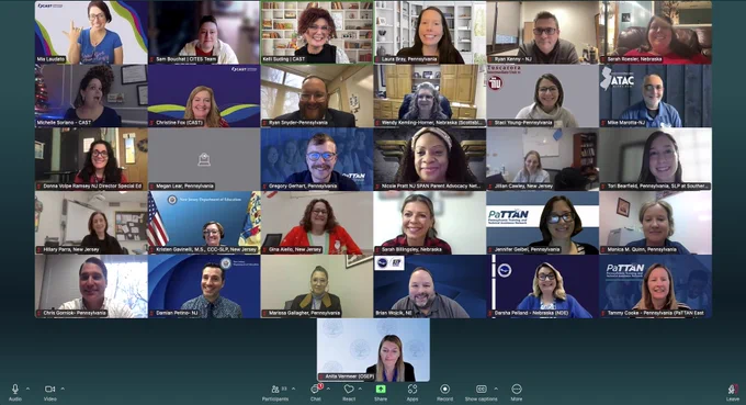 Screenshot of educators on Zoom