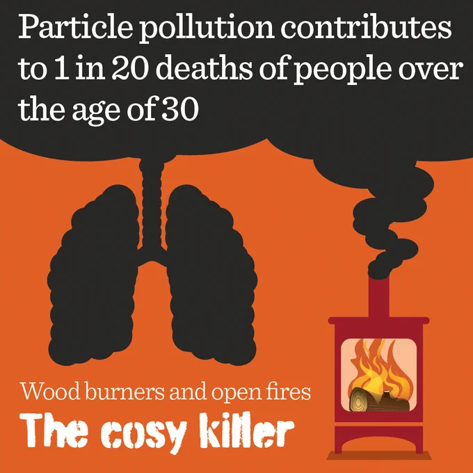 A picture of a wood burner with smoke in the shape of a pair of lungs with words saying "particle pollution contributes to 1 in 20 deaths of people over the age of 30" and a caption reading "wood burners and open fires - the cosy killer"