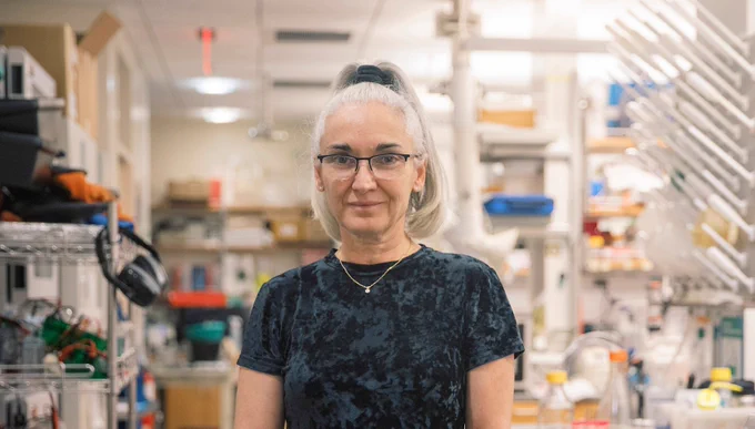 Eva Nogales en su laboratorio en Berkeley.