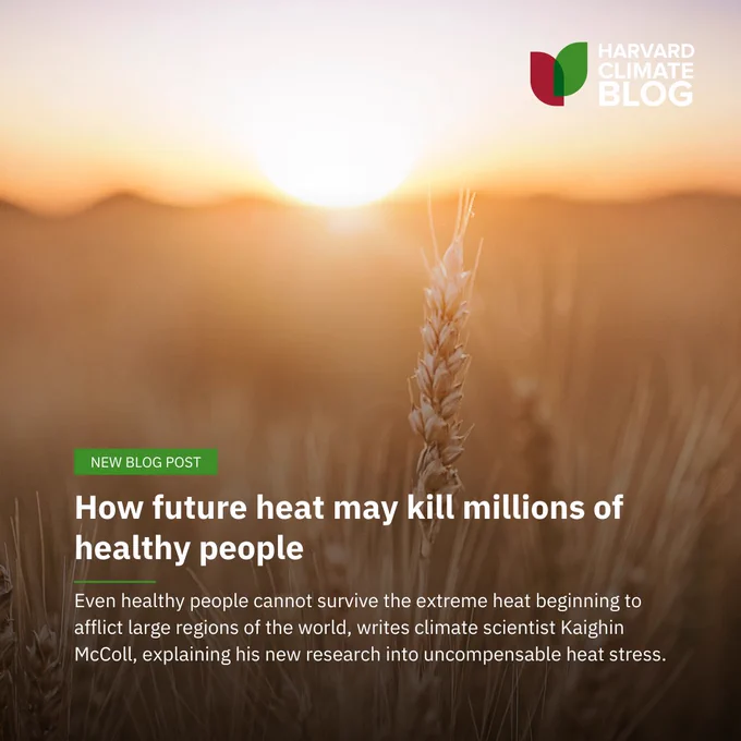 A photo of sun over agricultural field. Text: Harvard Climate Blog. New Blog Post. How future heat may kill millions of healthy people. Even healthy people cannot survive the extreme heat beginning to affect large regions of the world, writes climate scientists Kaighin McColl, explaining his new research into uncompensable heat stress.