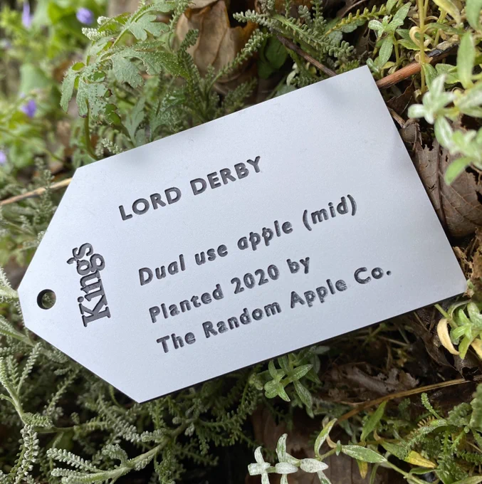 Photo of an engraved label for an apple tree variety.