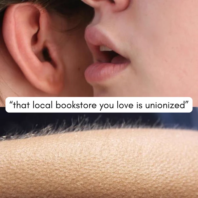 a meme with two photos: on top,  a person whispering into another person's ear "that local bookstore you love is unionized" and on the bottom the image of an arm with goosebumps