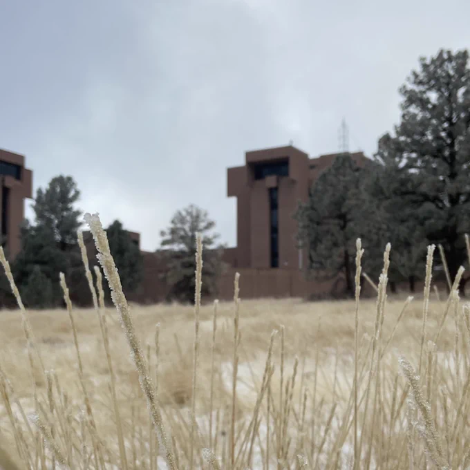 A photo of frost-covered wild grass with the Mesa Lab in the background.
