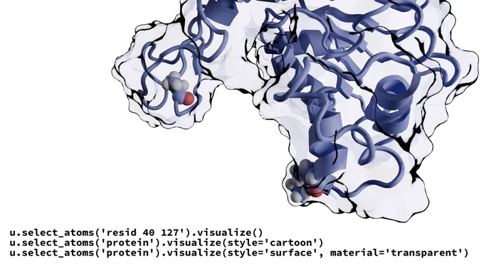 Visualization of a protein with secondary structure as cartoon ribbons, transparent molecular surface, and two residues highlighted as van der Waals spheres. Python code shows how to generate the image with MDAnalysis atom selections and MolecularNodes/blender.