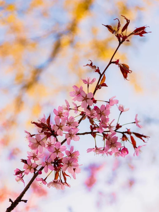 Photo by Mats Havia for Unsplash