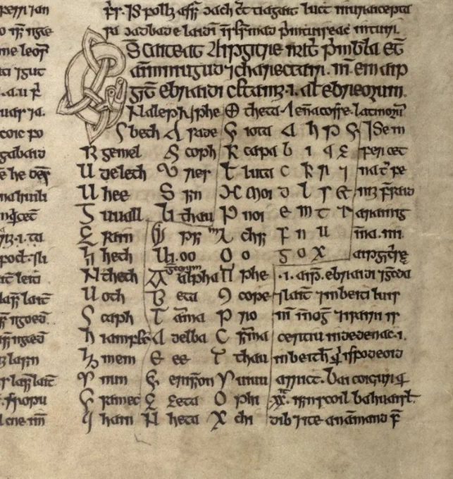 RIA MS 23 P 12
(c) Royal Irish Academy & Irish Script on Screen
