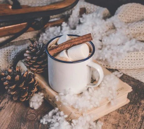 Tasse de chocolat avec chamallow et bâton de cannelle, posée sur un livre avec neige et pommes de pin -  Photo par Ylanite Koppens sur Pexels