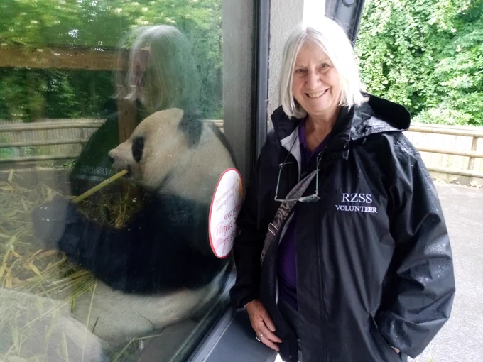 A person with a light skin tone and white hair smiling next to a panda enclosure.