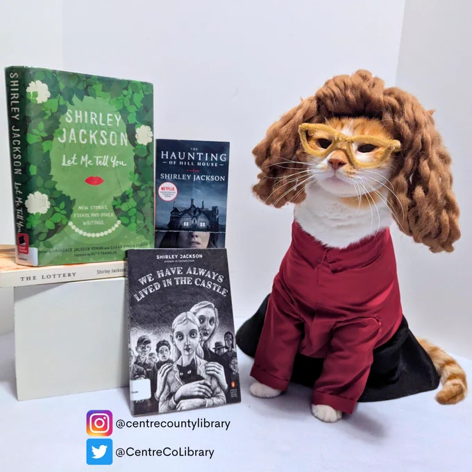 A photo of Horatio the Cat dressed in a burgundy shirt, black skirt, brown wig, and glasses to emulate author Shirley Jackson. He sits next to four books by Shirley Jackson, including "Let Me Tell You," "The Haunting of Hill House," "The Lottery and Other Stories," and "We Have Always Lived in the Castle." 