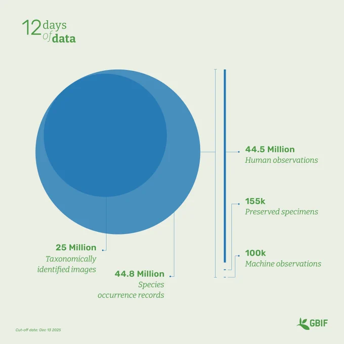 Large blue graph showing volume of records that have images, are from human observations, preserved specimens and machine observations