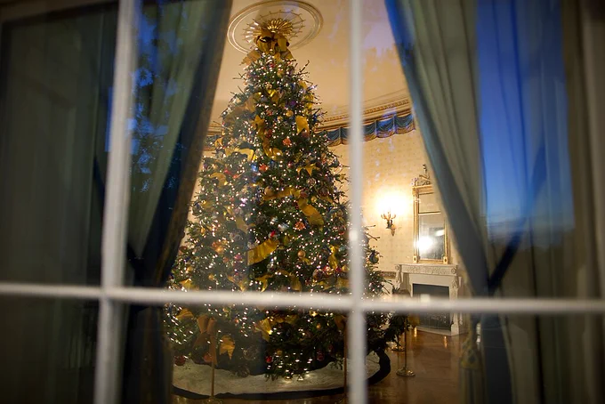 Decorated Douglas Fir tree seen through a window with blue curtains pulled back. The tree has gold ribbon wrapped around it, small white lights, red ornaments, gold ornaments, and a big gold bow on the top. An unlit fireplace is in the background and a mirror with gold trim around it hangs above it.
