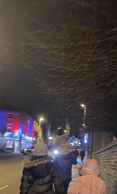 A small child held high on her dad’s shoulders reaches up to touch the ends of the branches hanging over the pavement