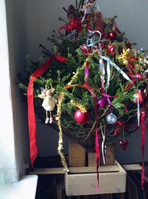 From the corner of my studio, our Merry Christmas tree -  best wishes,  Alan
.
. By the way, this tree, after Epiphanias (Jan 6th), is happy to be special food for the elephants in the Berlin Zoo