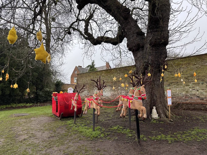 A large display of crocheted / knitted reindeer (5) and sleigh. They are outside on a grassy / muddy surface with a tree and brick wall in the background. There are knitted yellow stars hanging from the branches