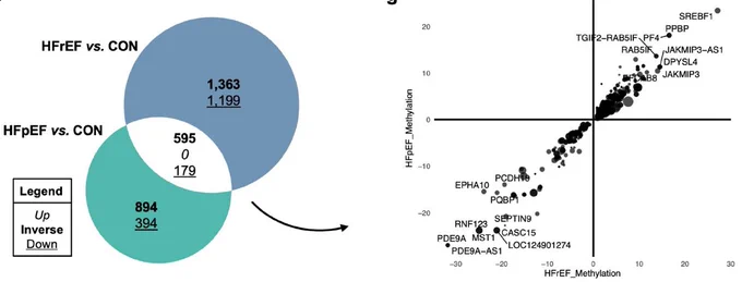 Venn diagram illustrating relative proportion and overlap of DMPs within HFpEF and HFrEF relative to CON, and  X–Y plot of overlapping DMPs revealing a strong positive correlation irrespective of disease etiology.