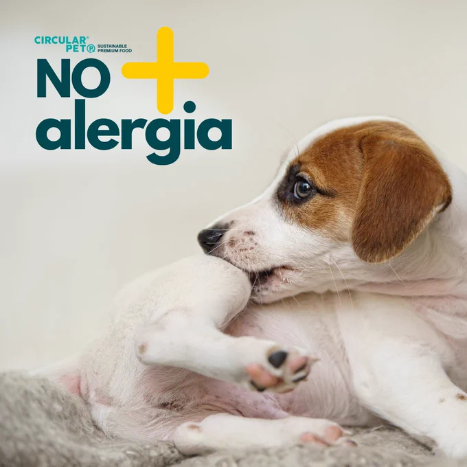 perro alergia alimentaria 