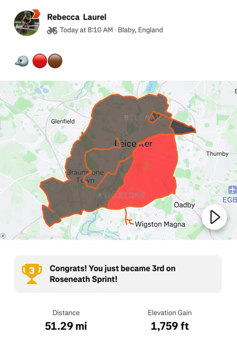 A screenshot from Strava. The ride is titled with a bird emoji and red and brown circle emojis, and is 51.29 miles. The route is shaped like a Robin and has been coloured in with a brown body, red breast, a black eye and a black beak.
