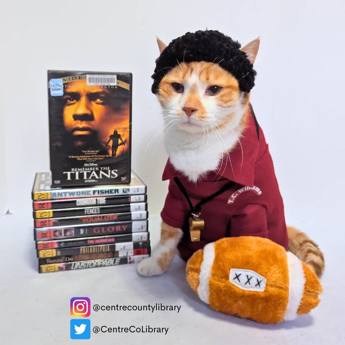 A photo of Horatio the Cat dressed in a maroon shirt with whistle, black wig, and sitting next to a football and stack of DVDs to emulate Coach Boone from "Remember the Titans."