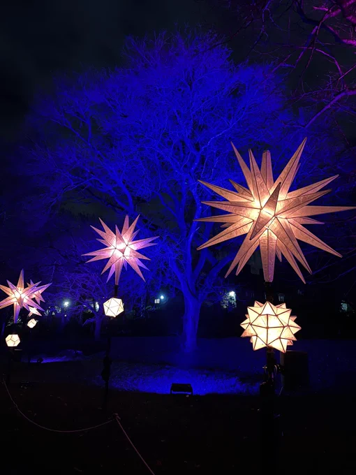 Spiky paper lanterns on sticks that look a bit like exploding Victorian lampposts | Llusernau papur ar ffyn sy'n edrych ychydig fel lampiau stryd Fictoraidd yn ffrwydro