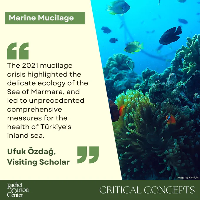 Info in the graphic: title: Marine Mucilage, highlighted quote: The 2021 mucilage crisis highlighted the delicate ecology of the Sea of Marmara, and led to unprecedented comprehensive measures for the health of Türkiye's inland sea. By Ufuk Özdağ 