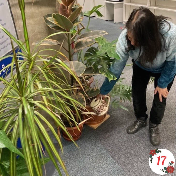 A woman in trousers stooping to water plants in pots standing on the carpeted floor of the IOE Library, with bookshelves and self-service machines behind.